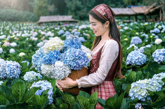 Beautiful girl enjoying blooming blue hydrangeas flowers in garden, Chiang mai, Thailand