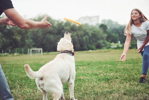 Foto gratuita una bella ragazza che gioca con il suo amato cane nel parco.