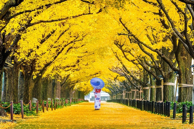 가 노란 은행 나무의 행에서 일본 전통 기모노를 입고 아름 다운 소녀. 일본 도쿄의 가을 공원.