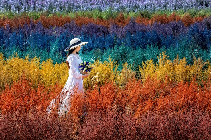 무료 Photo 커터 무지개 꽃 필드, 치앙마 이에 앉아 흰 드레스에서 아름 다운 여자