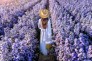 Free photo beautiful girl in white dress walking in margaret flowers fields, chiang mai in thailand