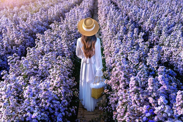 Beautiful girl in white dress walking in Margaret flowers fields, Chiang mai in Thailand