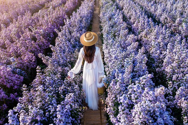 Beautiful girl in white dress walking in Margaret flowers fields