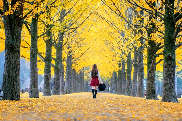 남이섬, 한국에서 노란 잎을 가진 아름 다운 소녀.