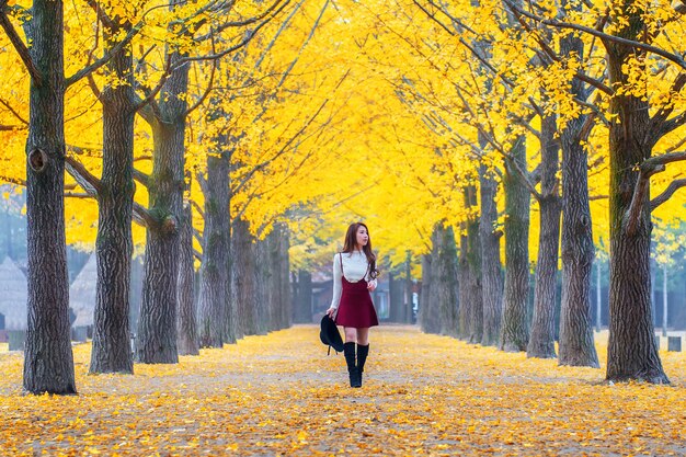 韓国、南怡島の黄色の葉を持つ美しい少女。