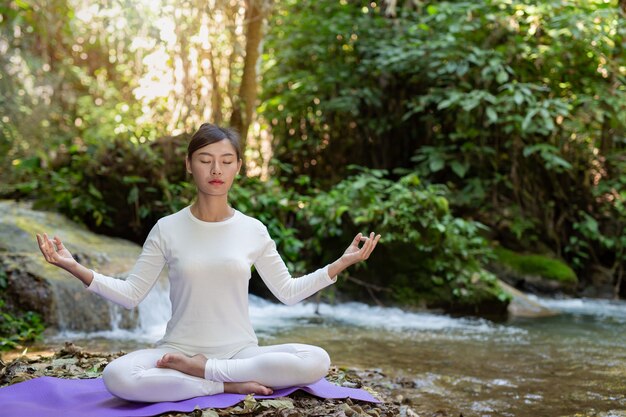 Wellness Whiz Wonders