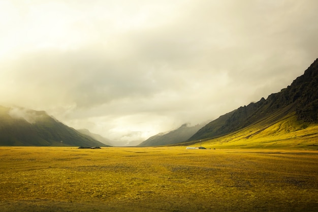 Beautiful golden field with amazing cloudy