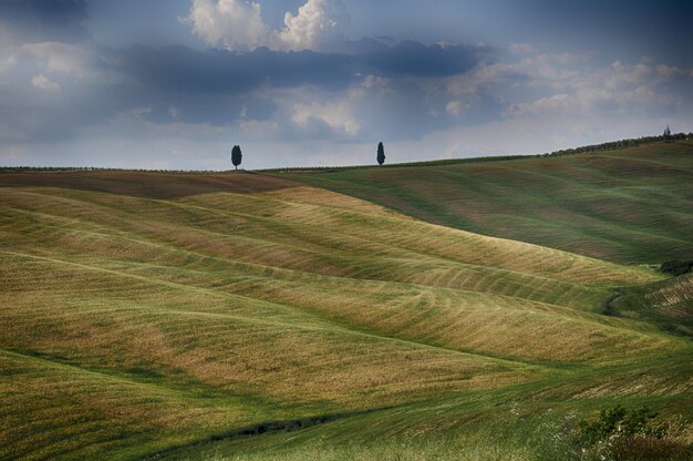 Beautiful grass covered fields under the clouds in the sky