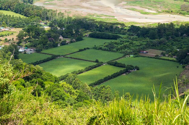 Красивое зеленое поле сельской местности Коста-Рики