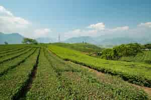 Free photo beautiful green landscape surrounded by high mountains under the cloudy sky