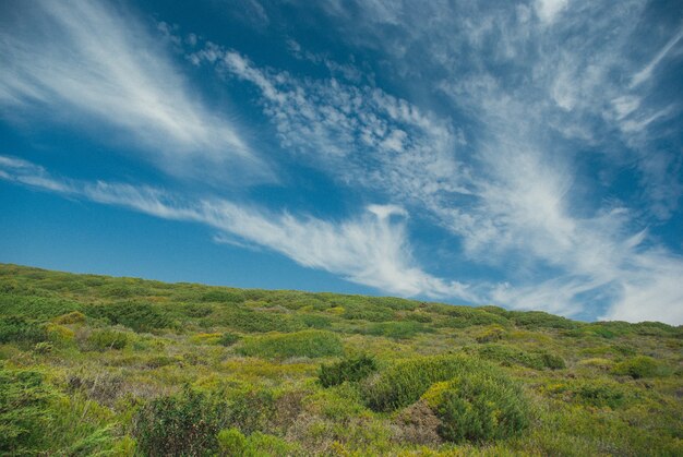 Beautiful green landscape with bushes under a cloudy sky in Portugal