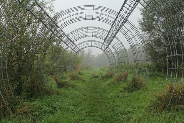 Beautiful green landscape with a metal arch in Biesbosch Noord Brabant