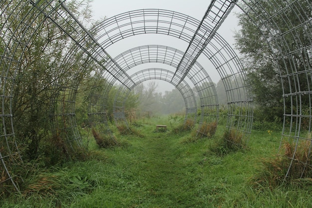 Beautiful green landscape with a metal arch in Biesbosch Noord Brabant