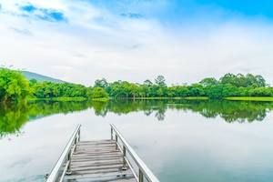 Beautiful green park with lake , ang kaew at chiang mai universi