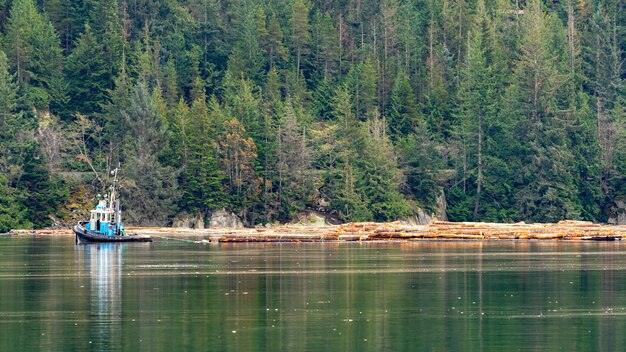 ブリティッシュコロンビア州スカーミッシュの湖の美しい緑の風景