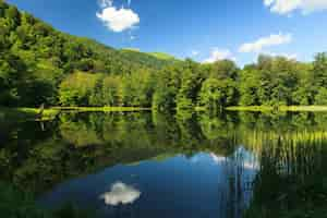 Free photo beautiful the green scenery reflecting in the gosh lake, armenia