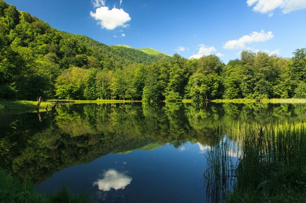 Beautiful the green scenery reflecting in the Gosh Lake, Armenia