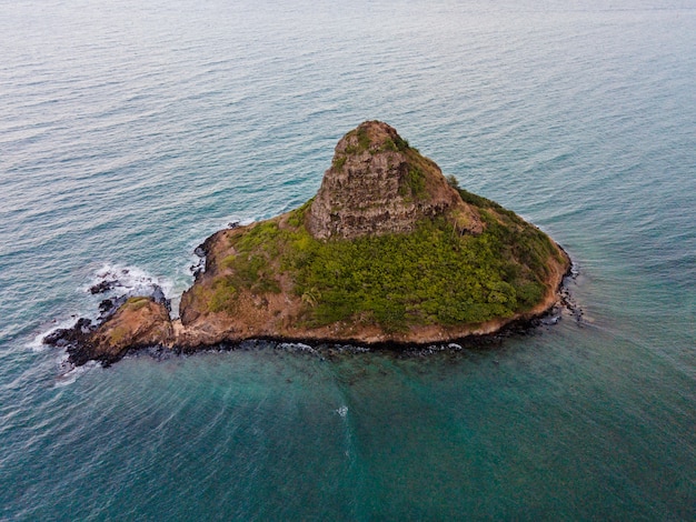 Bellissimo paesaggio hawaiiano con oceano