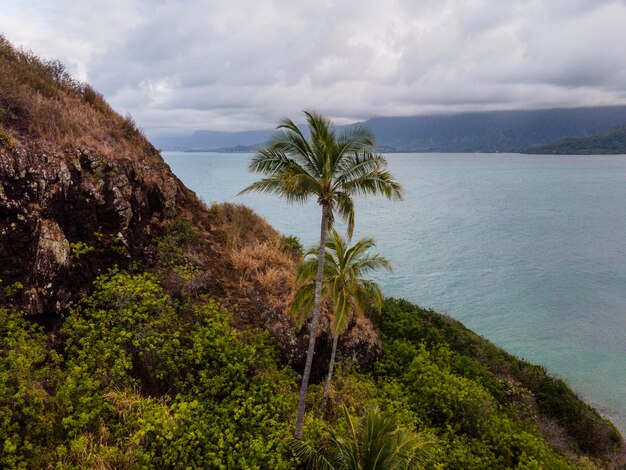 Beautiful hawaii landscape with ocean