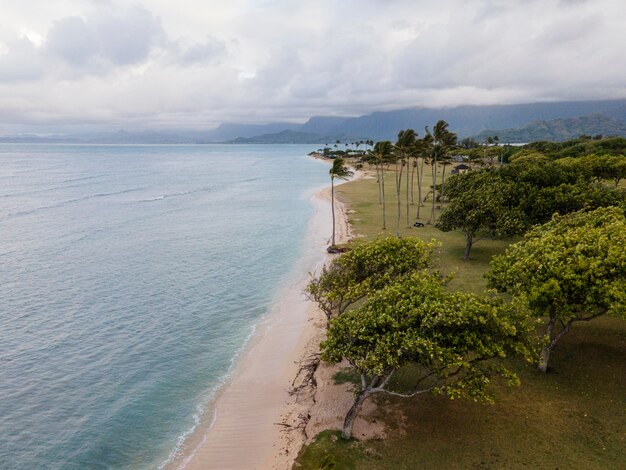 海と美しいハワイの風景