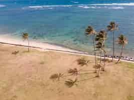 Бесплатное фото Красивый пейзаж гавайи с океаном