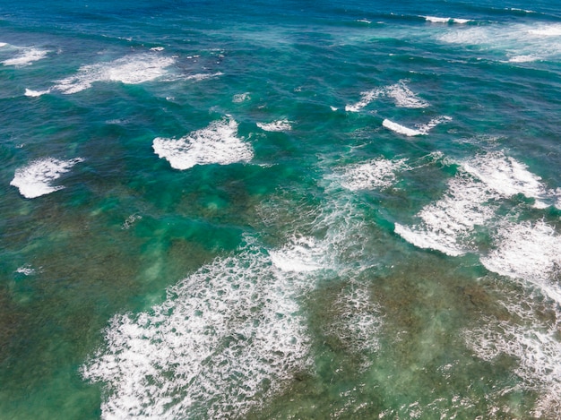Beautiful hawaii landscape with ocean