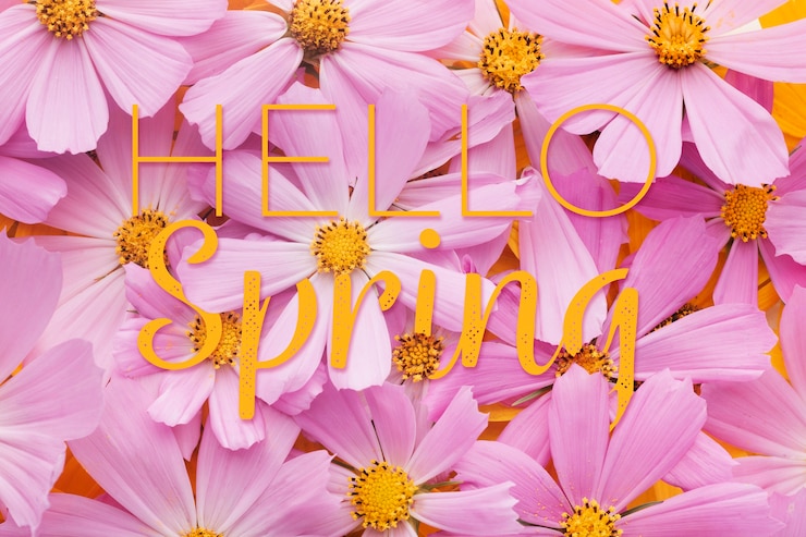Free Photo beautiful hello spring collage