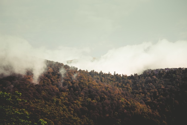 Beautiful hills and skies