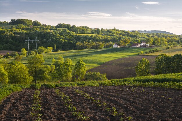 Красивый горизонтальный снимок зеленого поля с кустами, деревьями и небольшими домами в сельской местности