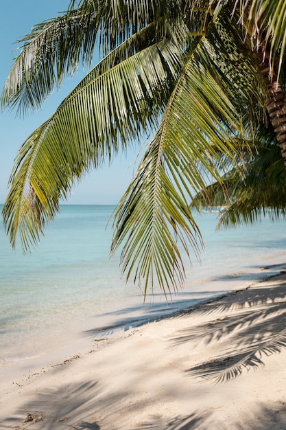 Beautiful island landscape seaside