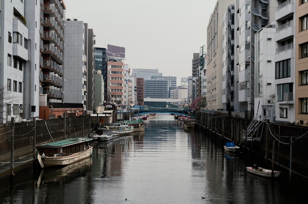 Free photo beautiful japan city with river