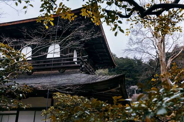 Beautiful japanese garden