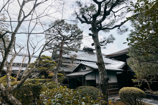 Красивый японский сад