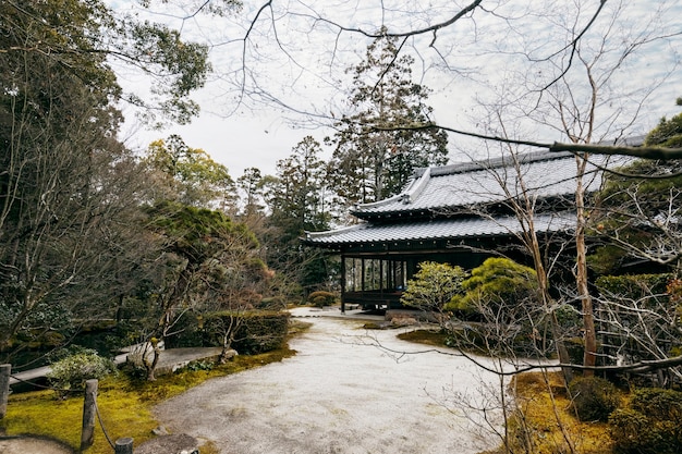 Free photo beautiful japanese garden