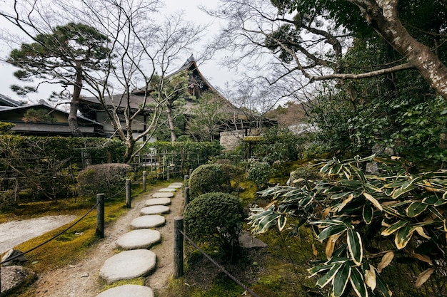 Free photo beautiful japanese garden