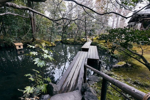 Foto gratuita bellissimo giardino giapponese