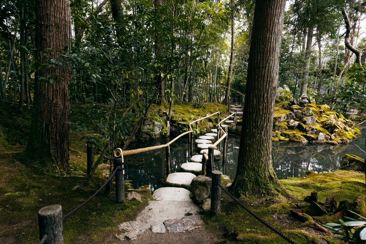Free Photo beautiful japanese garden