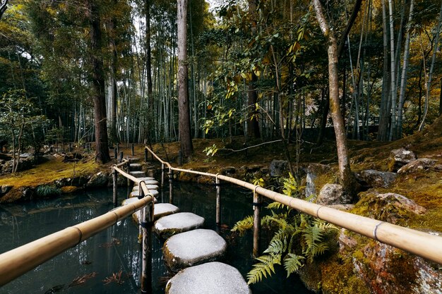 Beautiful japanese garden