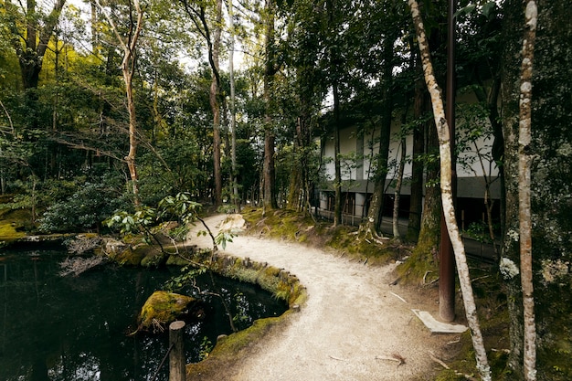 Beautiful japanese garden