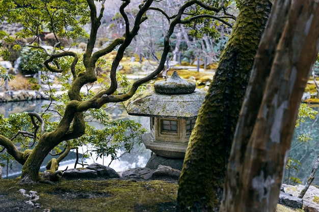 Красивый японский сад