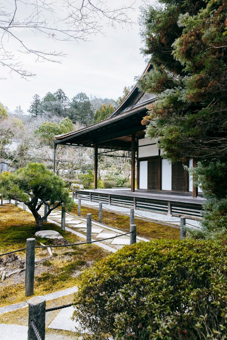 Free Photo beautiful japanese garden