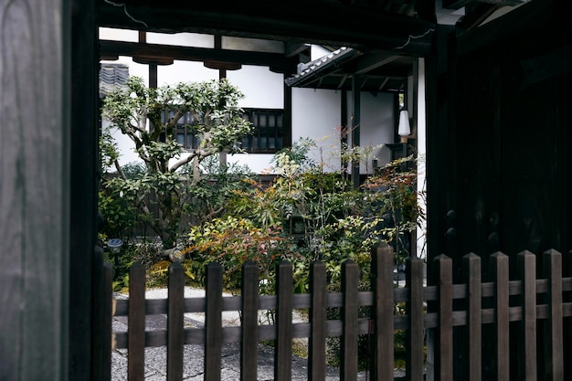 Beautiful japanese garden