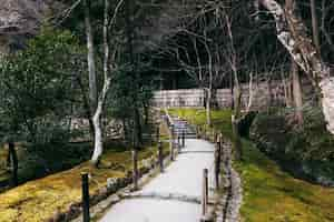 Free photo beautiful japanese garden