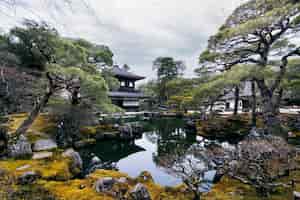 Бесплатное фото Красивый японский сад