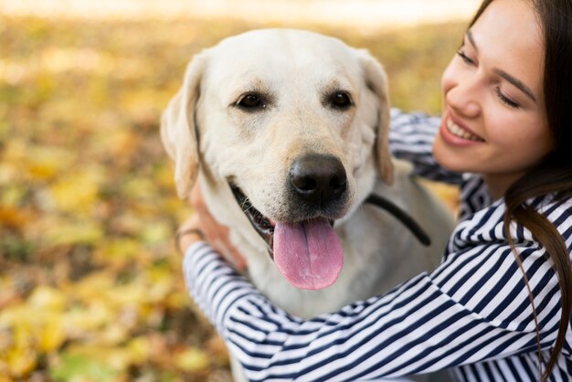 Bellissimo labrador con giovane donna