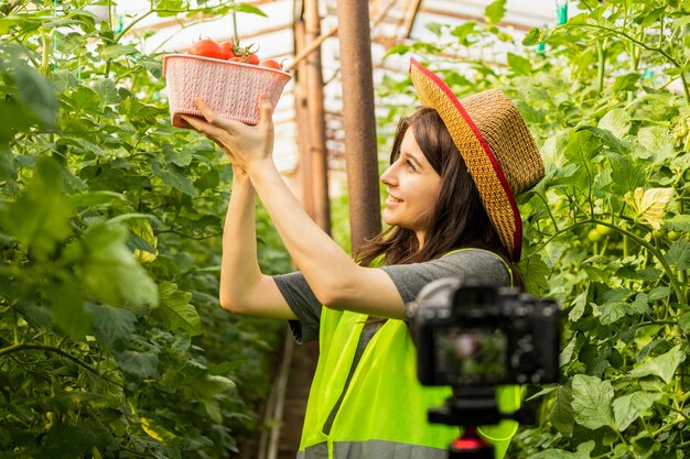 Красивая дама, стоящая перед камерой и держащая корзину с помидорами в теплице