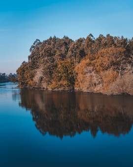Bellissimo lago con il riflesso di una scogliera con molti alberi sulla costa