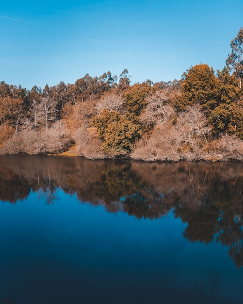 Foto gratuita bellissimo lago con il riflesso di una scogliera con molti alberi sulla costa