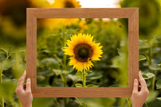 美しい風景が写真のフレームに収められている