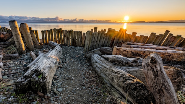 Free photo beautiful landscape in goose spit park